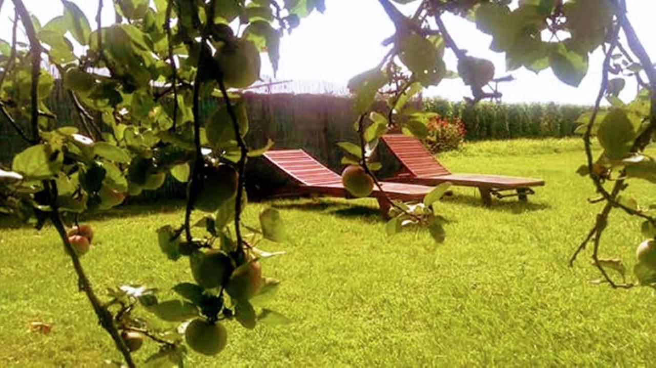 Rural La Corolla Quintueles